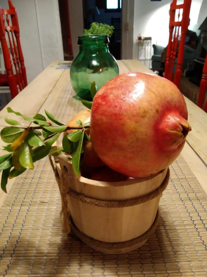 Les Magranes Bed&Breakfast Argelaguer Extérieur photo